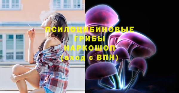 дживик Абаза