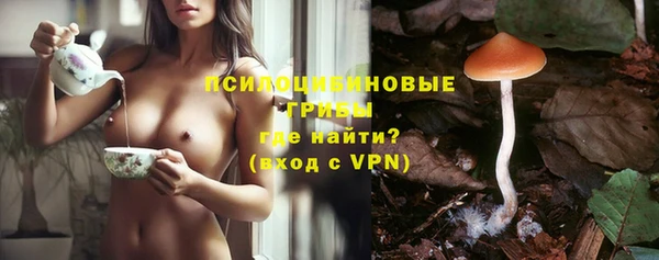 МДПВ Алзамай