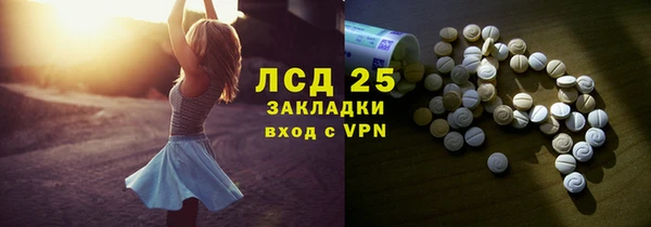индика Алексин
