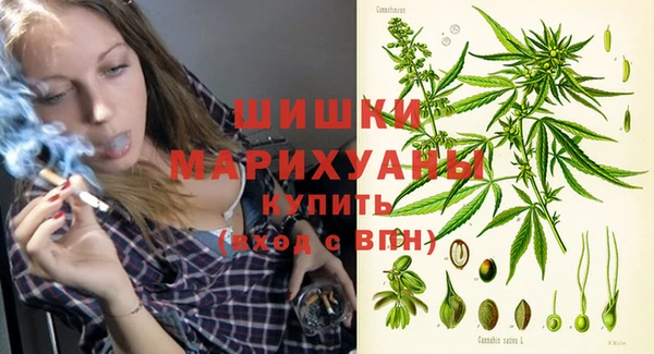 дживик Абаза