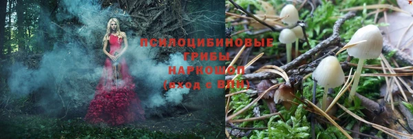 дживик Абаза