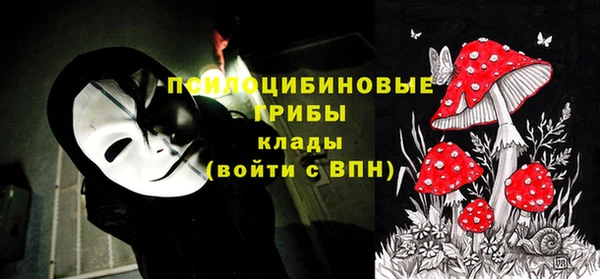 дживик Абаза