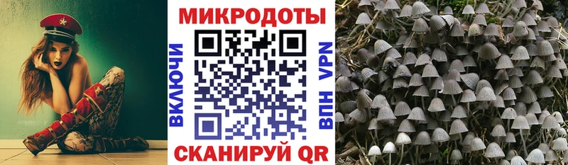 Псилоцибиновые грибы MAGIC MUSHROOMS  Ртищево 