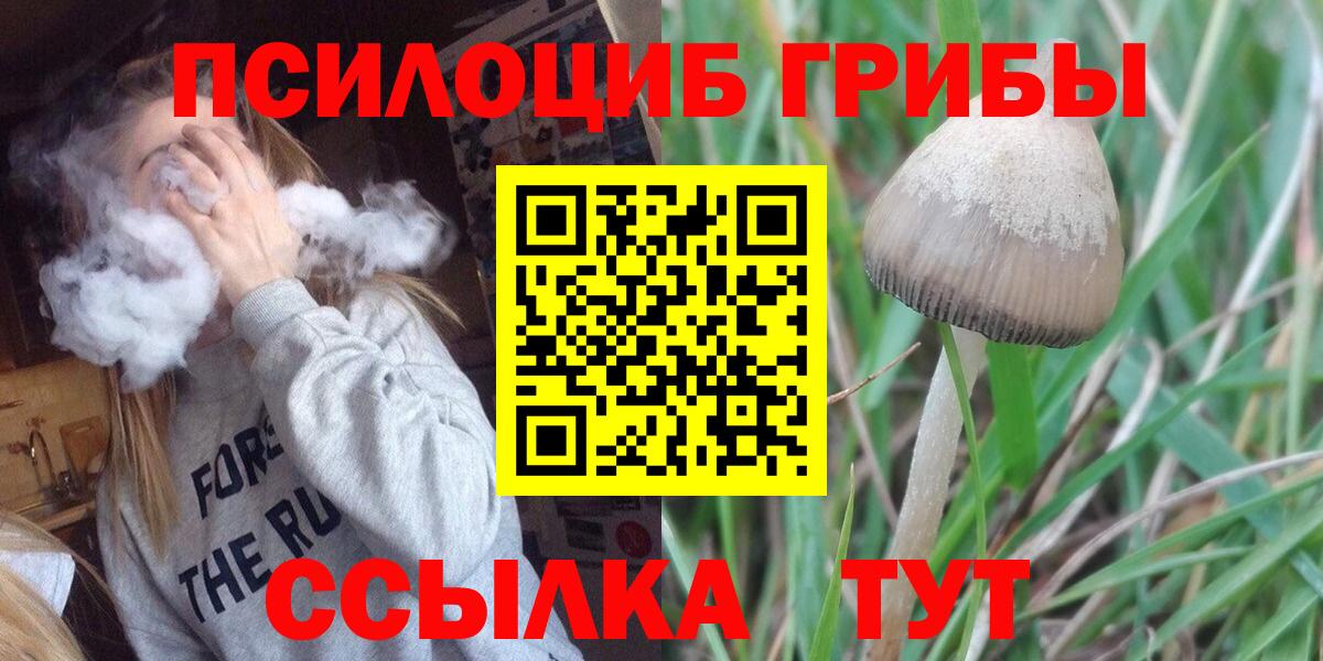 Псилоцибиновые грибы мицелий Ртищево