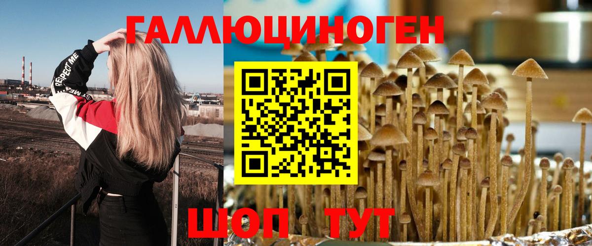 Галлюциногенные грибы ЛСД  где можно купить   Галлюциногенные грибы MAGIC MUSHROOMS  Ртищево  Вход с VPN 